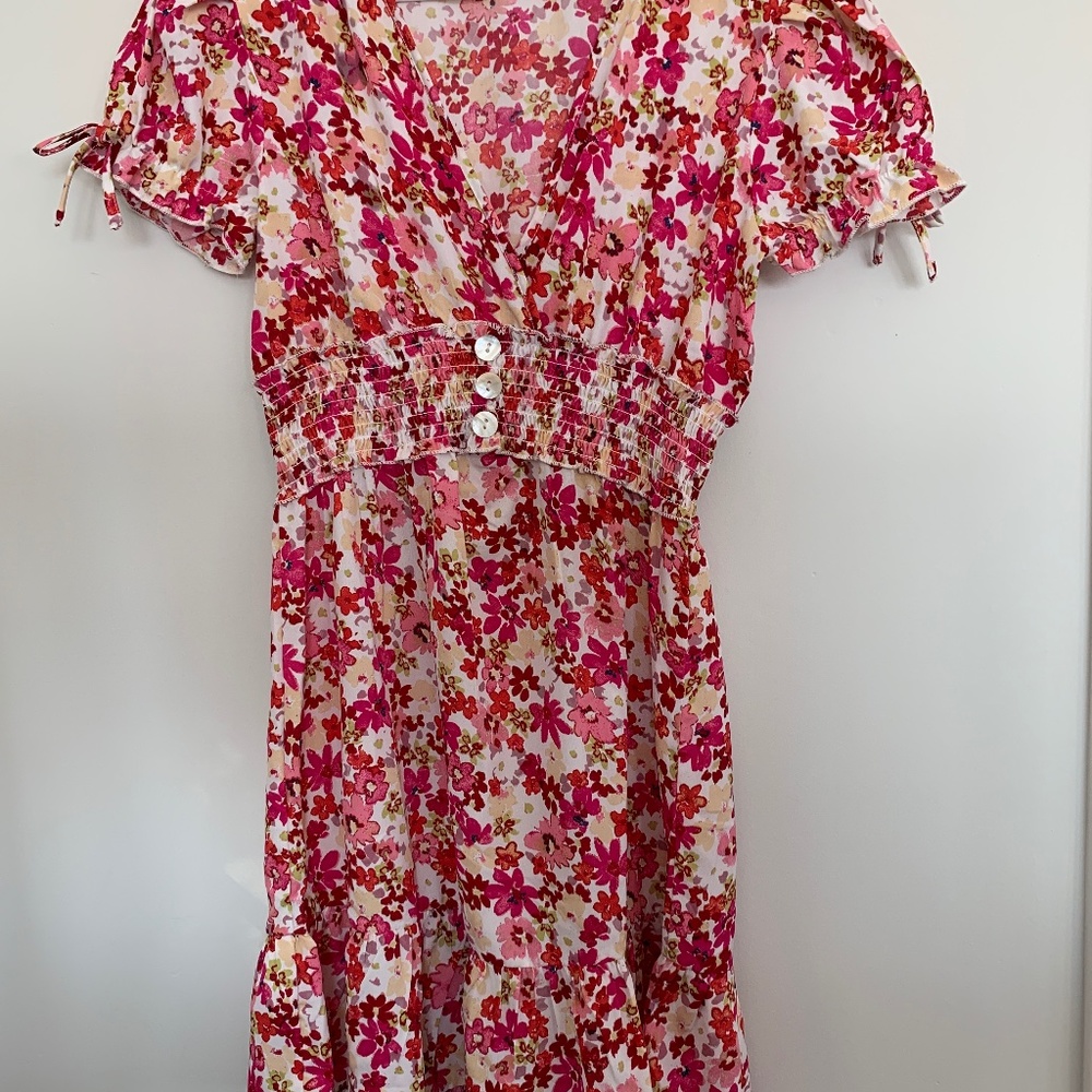 Hint of Blush Dress